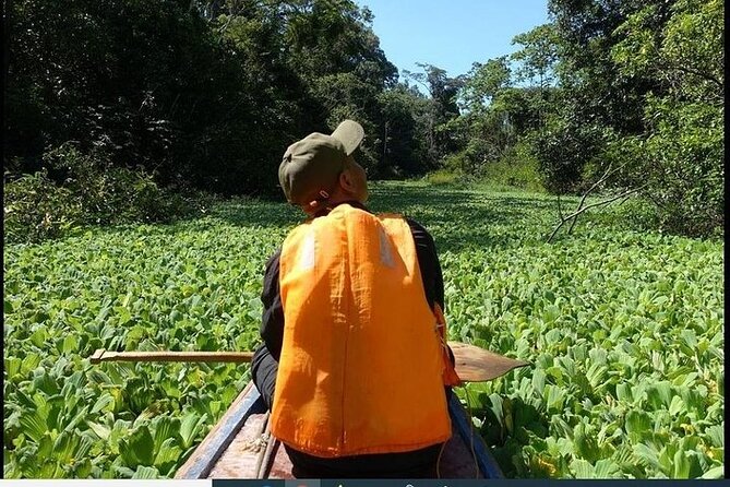 Amazon Paradise Adventure 3/ Days 2/ Nights 360 Usd