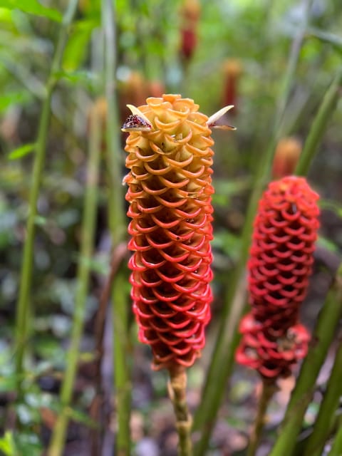 2 Best 4 Day Tours In Ecuador