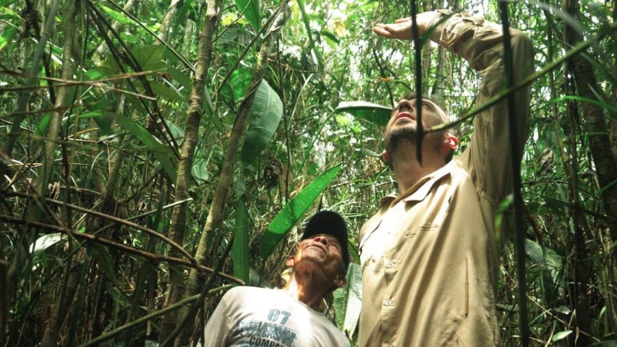 Amazonas Extreme