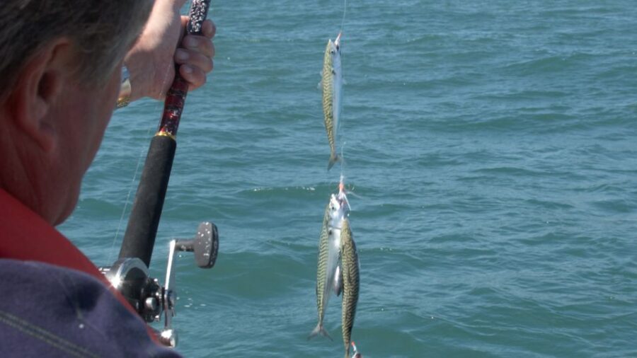 Ancestral Fishing: Fishing With an Experienced Rapa Nui