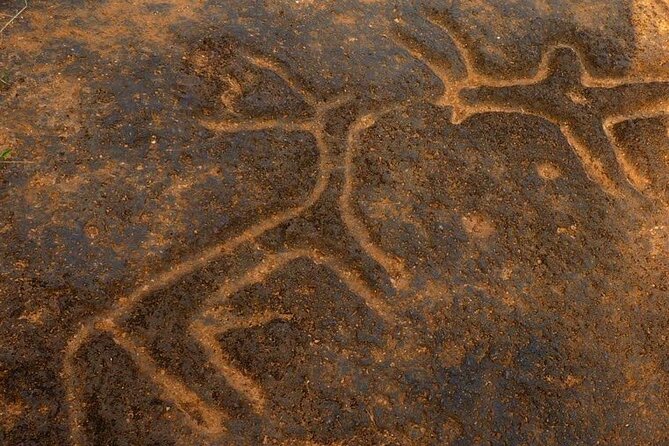 Ancient Goa Tour With Archaeologist or Local Guide