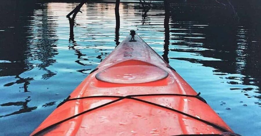 2 Best Canoe And Kayak Experiences In Andaman And Nicobar Islands
