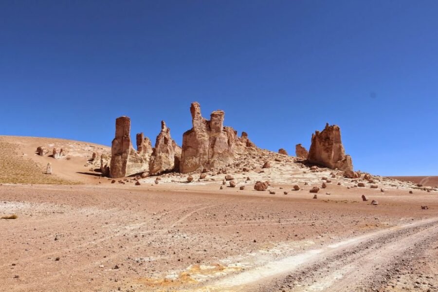 2 Best Lunch Experiences In San Pedro De Atacama