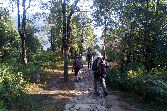 Annapurna Sunrise Trek - Trek Overview and Highlights