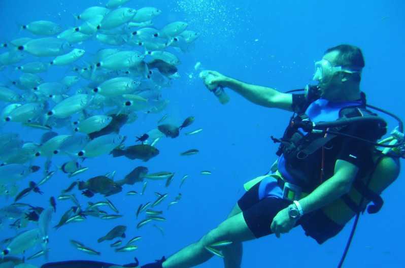 Antalya/ Kemer/ Belek: Scuba Diving With Lunch & Transfer