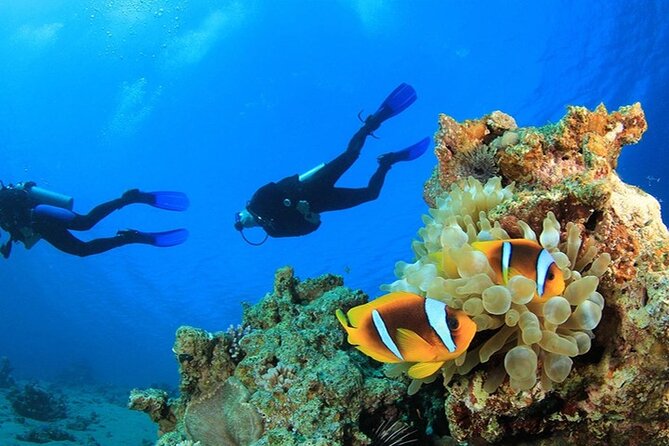 Antalya Scuba Diving With Transfer From Belek,Lara,Kemer Hotels - Health and Safety Requirements