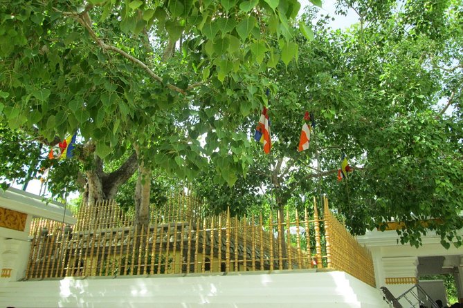 Anuradhapura And Aukana All Inclusive Day Tour From Negombo