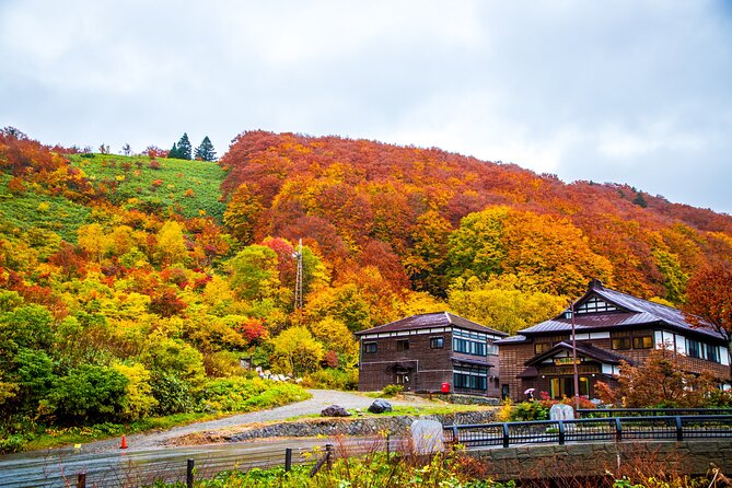 Aomori Private Customizable Full Day Tour - Booking and Cancellation Policy