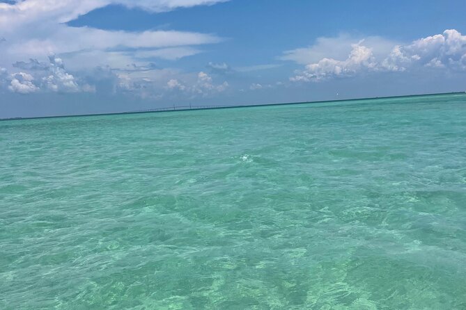 Aqua Sol Adventures-4.5 Hour Private Snorkeling,Dolphin,Shelling - Overview of Aqua Sol Adventures