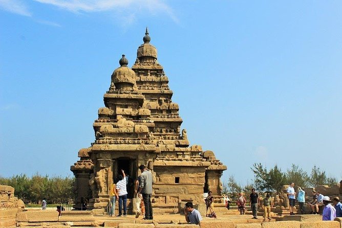 Archaeologist Curation Only Mahabalipuram Trip