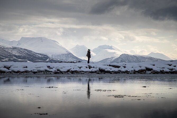 Arctic Landscapes Hiking, Sightseeing & Snowshoeing Private Tour - Tour Highlights