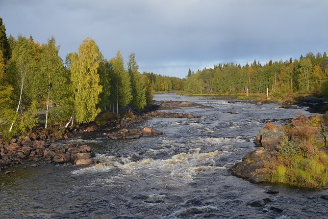 2 Best National Parks Tours In Rovaniemi
