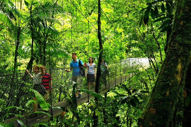 Arenal Hanging Bridges Nature Tour