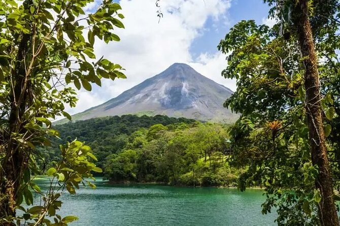 Arenal La Fortuna Tour: Park+Hanging Bridges+Thermal Waters