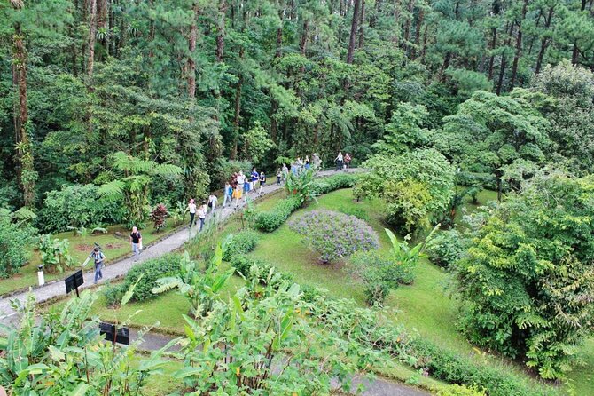 Arenal Observatory Trails Admission Ticket - Activities and Amenities