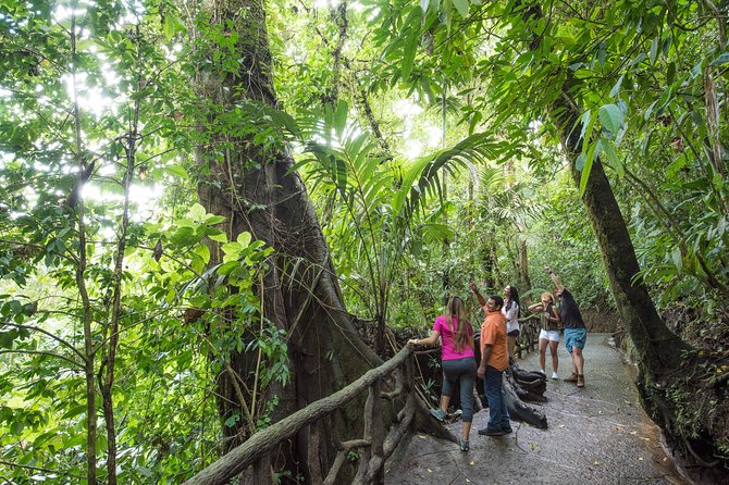 Arenal Volcano, Hanging Bridges and Sloth Encounter Tour.