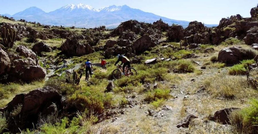 3 Best 3 Hour Tours and Experiences in Arequipa