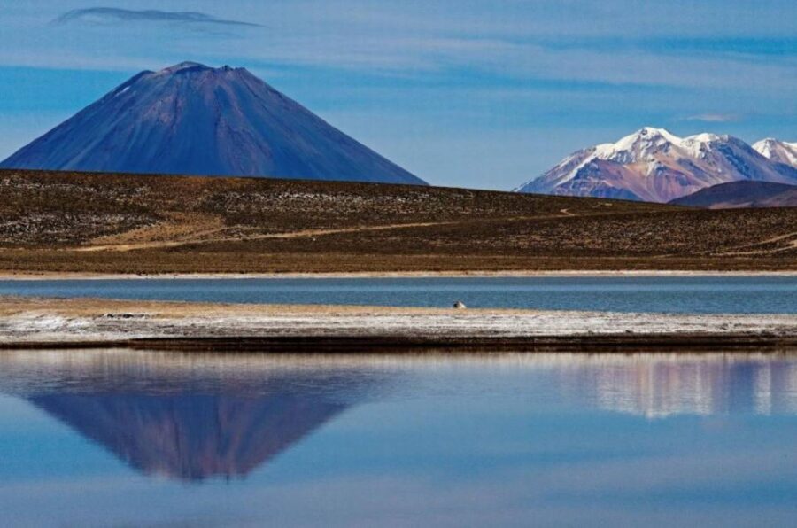 Arequipa: Reserve of Salinas and Aguada Blanca-Lojen Volcano