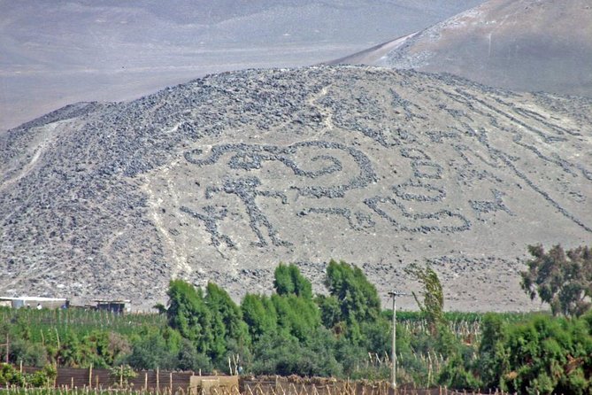 2 Best Tours In Arica