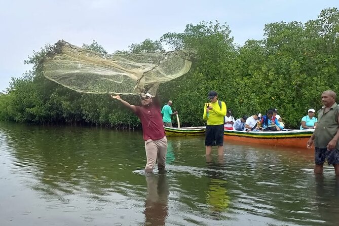 Artisanal Canoe Tour in the Mangrove With Afro-Caribbean Dance