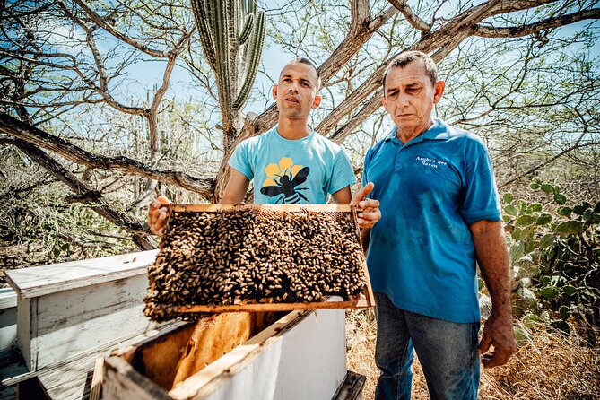 Aruba’s Bee Haven Private Adventure