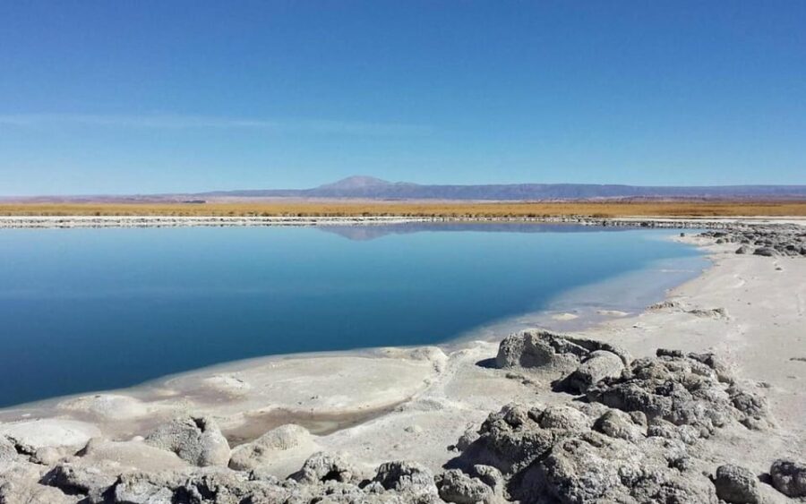 Atacama Desert: Refreshing Float at Laguna Cejar and Sunset - Activity Overview