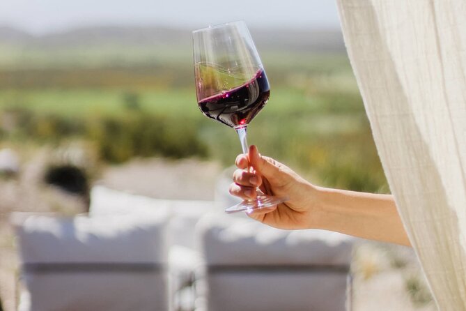 Atamisque Winery + Lunch at Ruda Cocina. Transfer Included