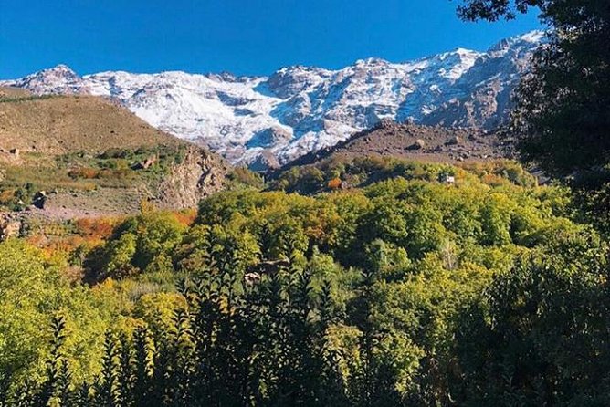 Atlas Mountains Day Trip With Camel Ride From Marrakech Including Lunch