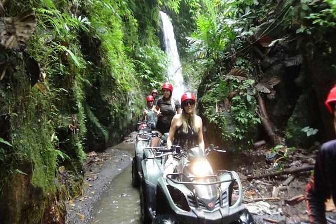 ATV / Quad Bike Forest Tour – Transport, Lunch, Changing Rooms, & More