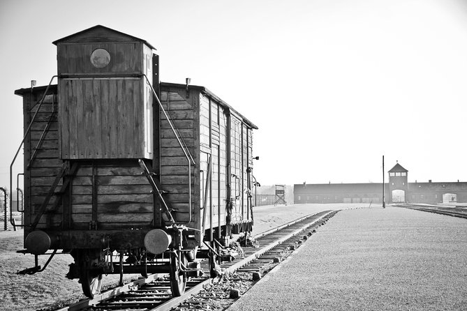 Auschwitz - Full Day Tour From Warsaw by Private Car - Tour Overview