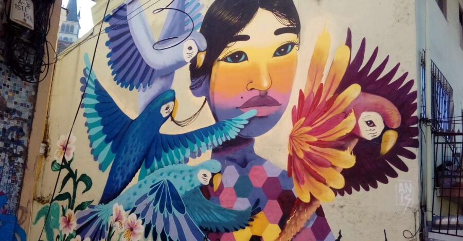 Authentic Valparaiso: Street Art, Funiculars and Port City - Tour Overview