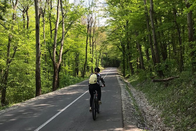 Avala & Kosmaj Bike Tour