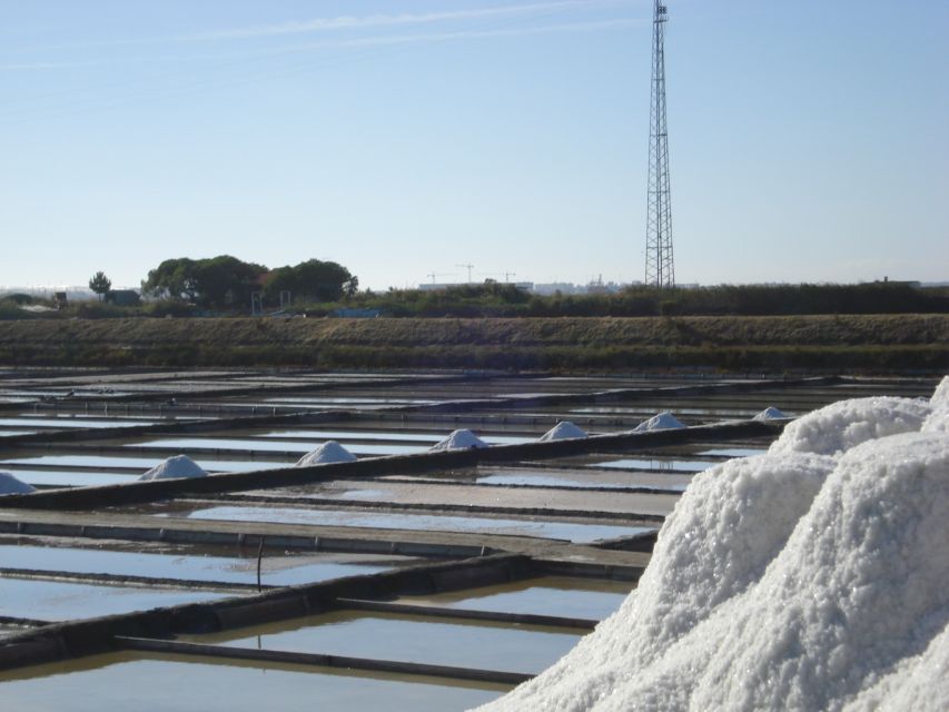 4 Best City Tours In Aveiro