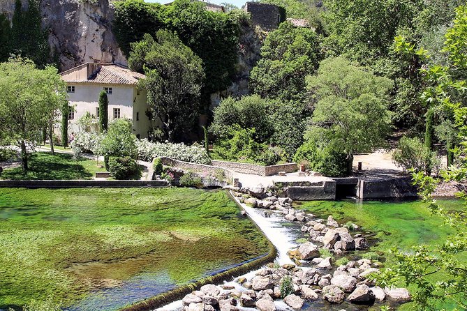 Avignon Palace of the Popes, Food Market & Isle Sur La Sorgue - Exploring Avignons Historic Palace