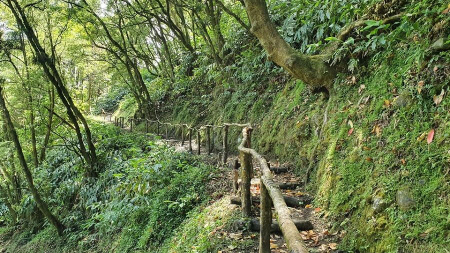 Azores São Miguel: Full Day Hike and Snorkeling With a Local