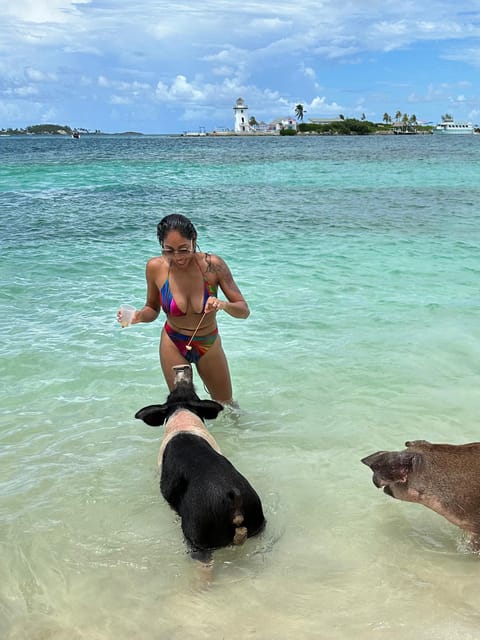 Bahamas: Swimming Pigs & Snorkeling Cruise With Lunch & Rum