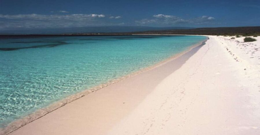 Bahía De Las Aguilas: Beach Day Trip by Boat