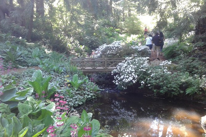 Bainbridge Island Nature Reserve Walk With Lunch