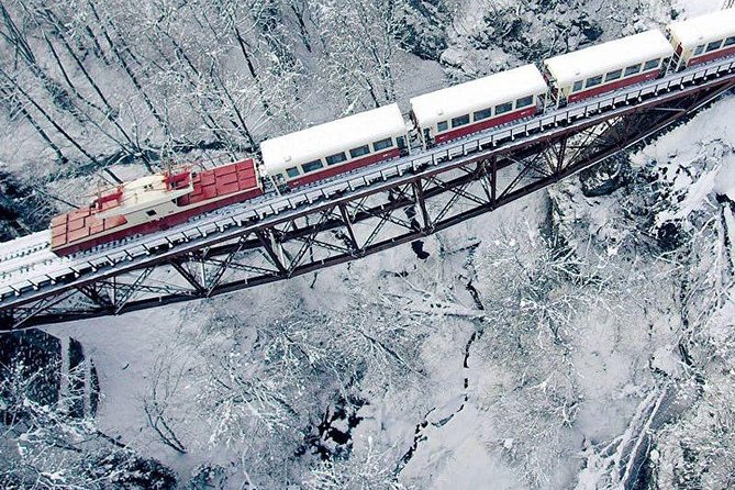 Bakuriani Ski Resort and the Legendary Borjomi (Group Tour)