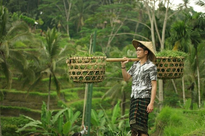 Bali 2 Days Package Nusa Penida and Ubud Tour With All Inclusive