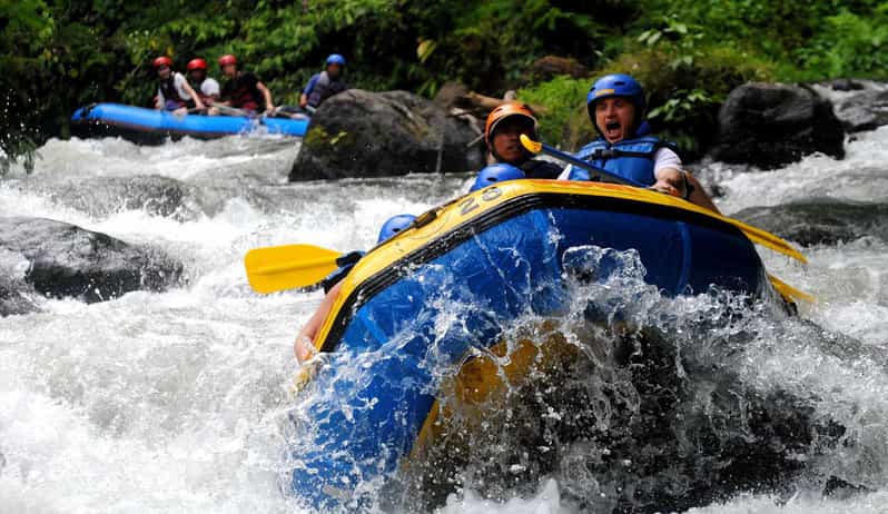 Bali: Ayung River White Water Rafting With Lunch & Transfer