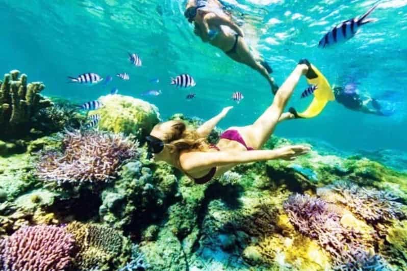Bali: Blue Lagoon Beach Snorkeling With Lunch - Activity Overview