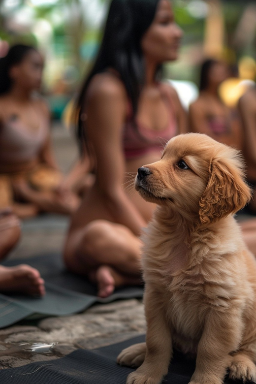 Bali: Canggu Puppy Yoga Class With Refreshing Drinks