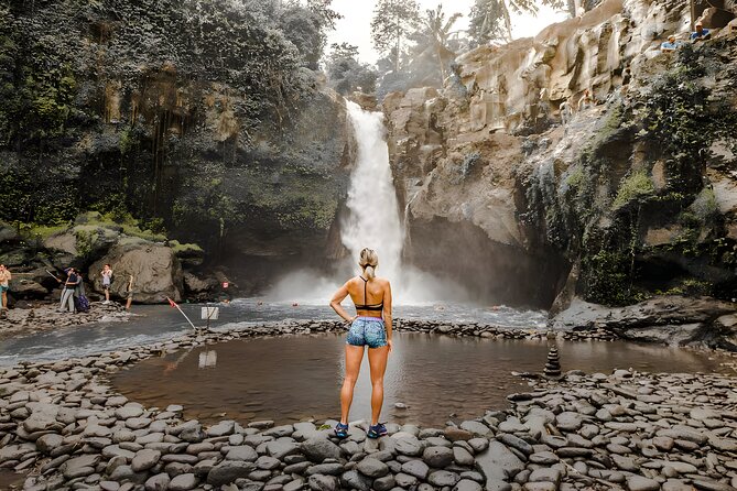 Bali Car-Charter: Ubud Full Day Tour