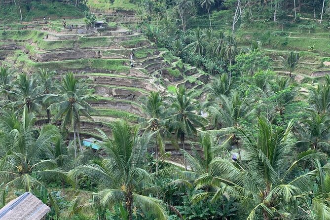 Bali Car Hire With Private Chauffeur