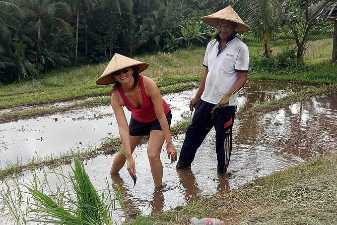 Bali Cultural Heritage Bamboo Forest Tour (Private All Inclusive)