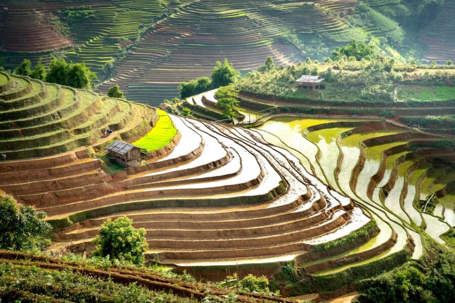 Bali: Full Day Water Temples and UNESCO Rice Terraces Tour