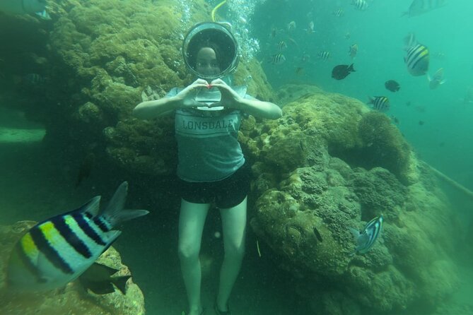 Bali Fun Scuba Dive for Beginners at Tanjung Benoa Beach - Overview of the Experience