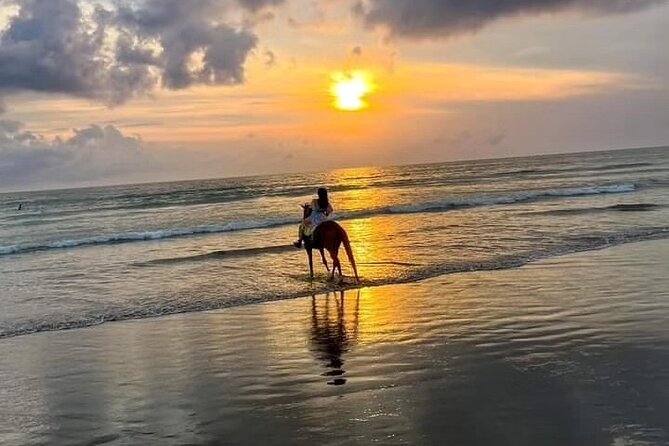 Bali Horse Riding in Seminyak Beach Private Experiance