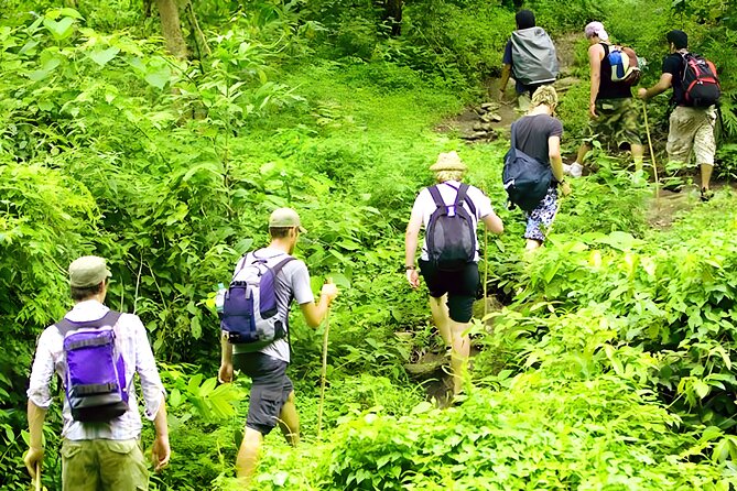 Bali Jungle Trekking With Lunch and Return Hotel Transfer - Overview and Experience